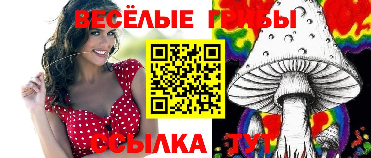 Галлюциногенные грибы ЛСД Петропавловск-Камчатский